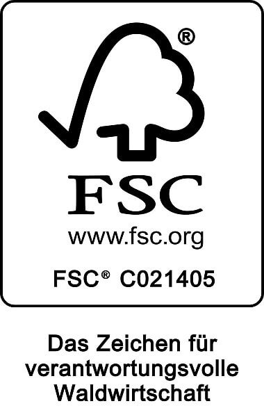 Logo fsc 2017